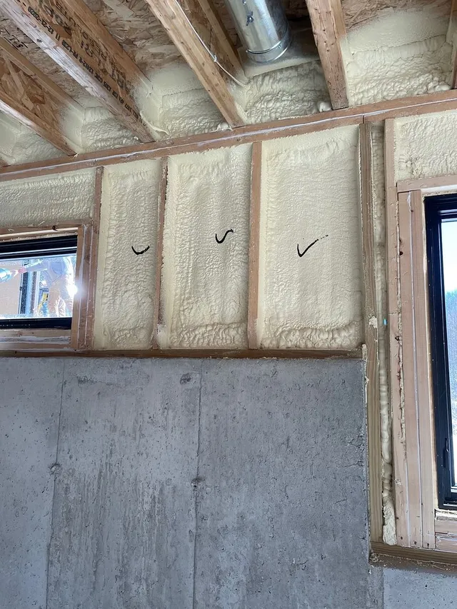 Spray Foam Insulation